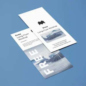 1000 Brochures A3 to A4 size 170 GSM